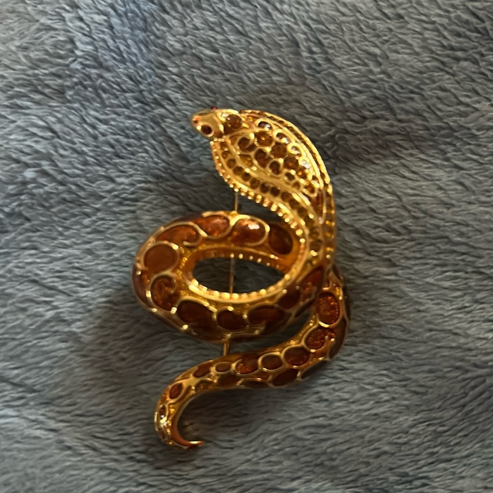 Gold tone snake pin